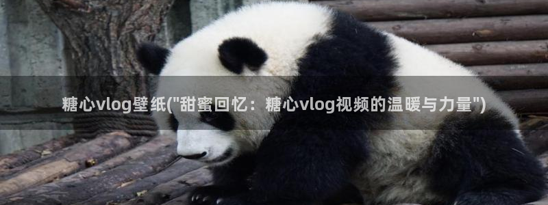 麻豆 糖心vlog：糖心vlog壁纸(\