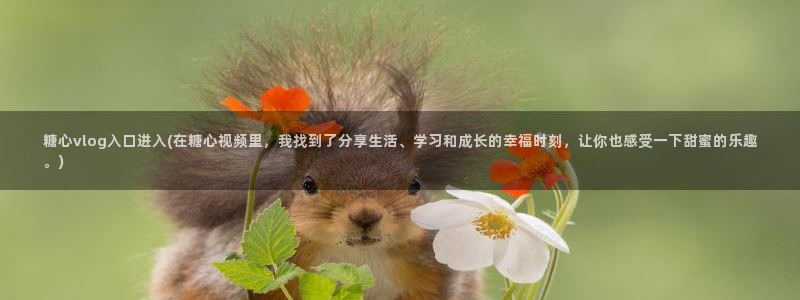 糖心下载汅vlog