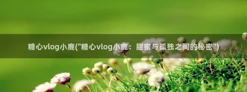 糖心vlog亚洲