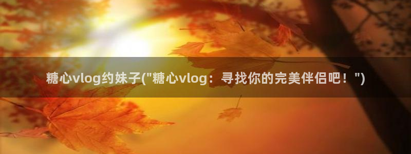 糖心vlog小包