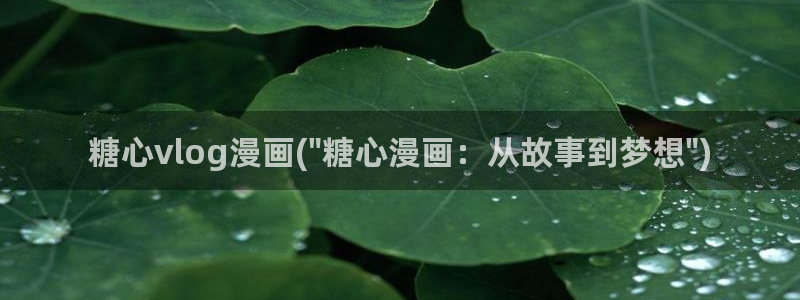 多己糖心在线vlog