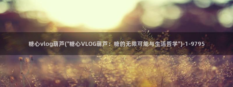 糖心vlog轻质量