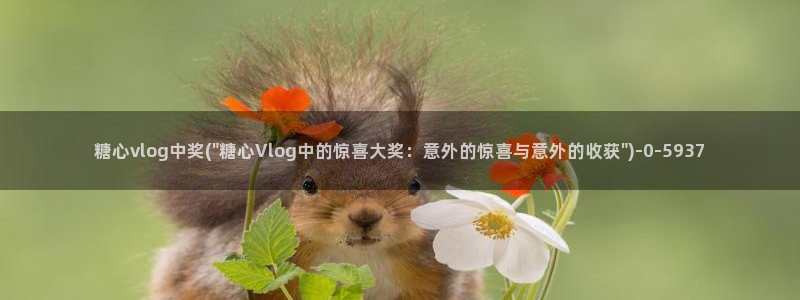 糖心vlog时间