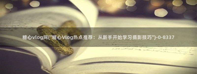 糖心vlog反差