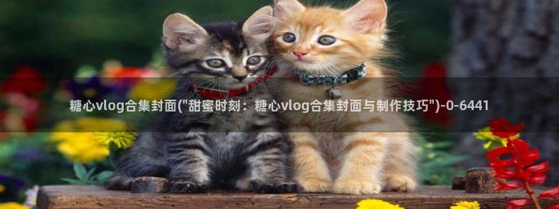 糖心vlog入口官网