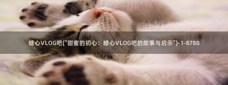 糖心vlog污垢