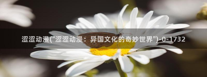动漫岛：涩涩动漫(\
