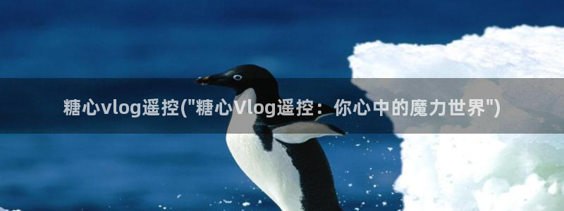 糖心vlog小七作品：糖心vlog遥控(\