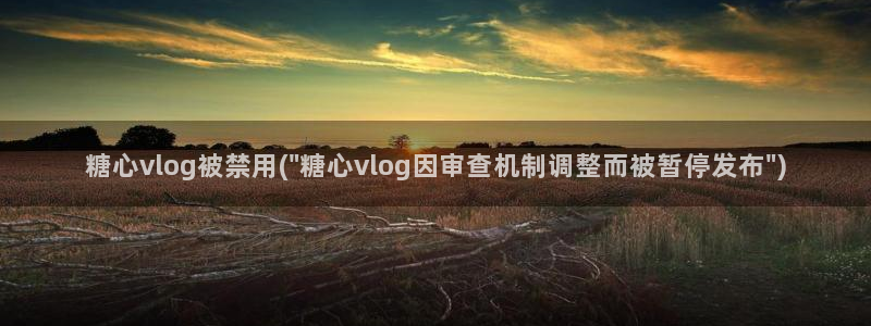 糖心vlog门牌：糖心vlog被禁用(\