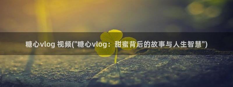 糖心vlog金善雅原名：糖心vlog 视频(\