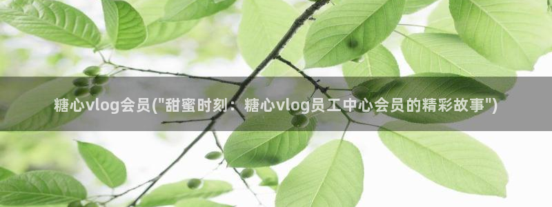 糖心vlog林夕图片：糖心vlog会员(\