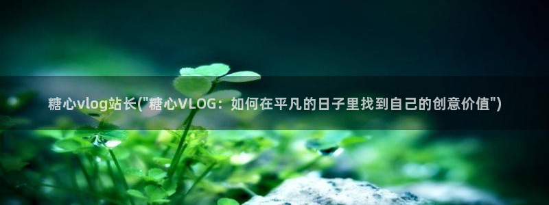 糖心vlog豪：糖心vlog站长(\
