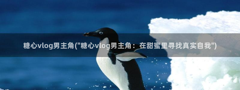 糖心vlog污染：糖心vlog男主角(\
