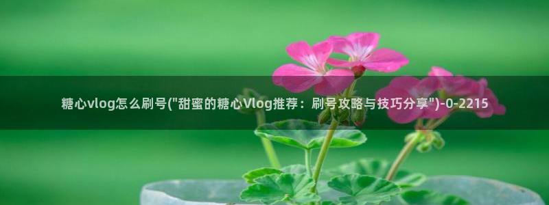 糖心vlog西施：糖心vlog怎么刷号(\