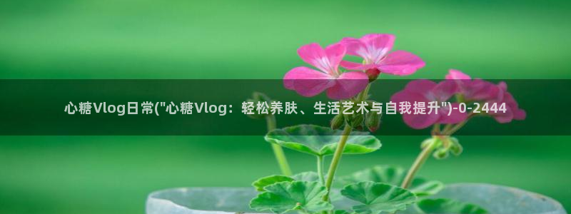 小鱼糖心vlog：心糖Vlog日常(\