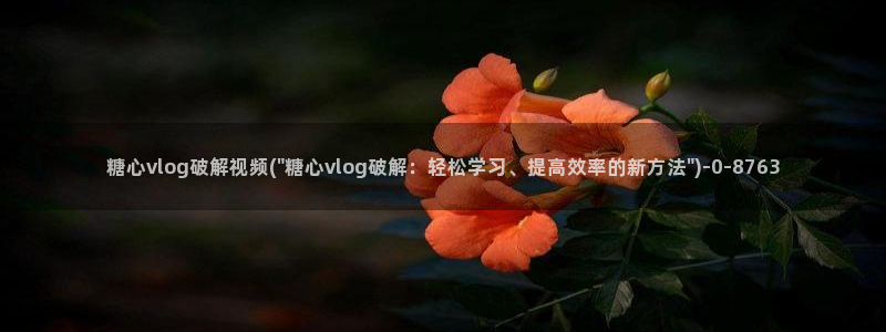 糖心vlog露脸：糖心vlog破解视频(\