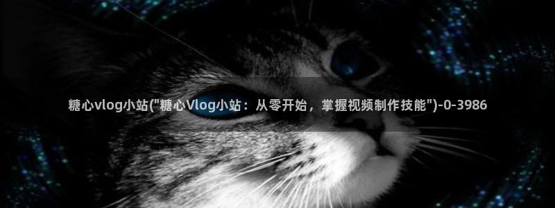 糖心vlog成员：糖心vlog小站(\
