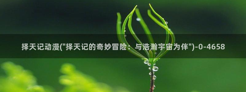 sm动漫