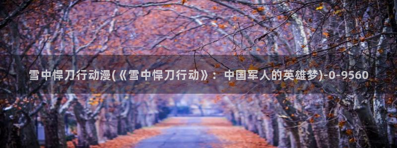好看的动漫