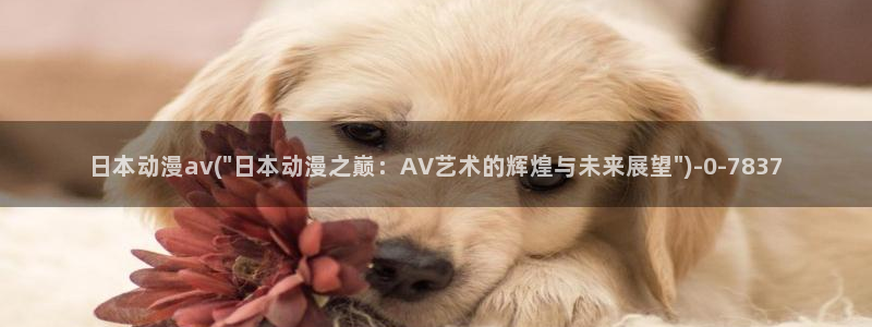 搞笑动漫
